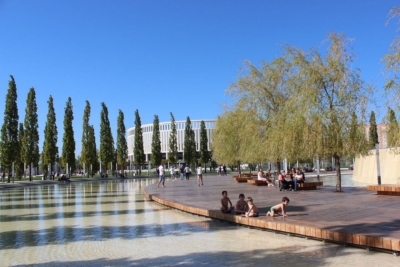 的使用问题 的使用问题