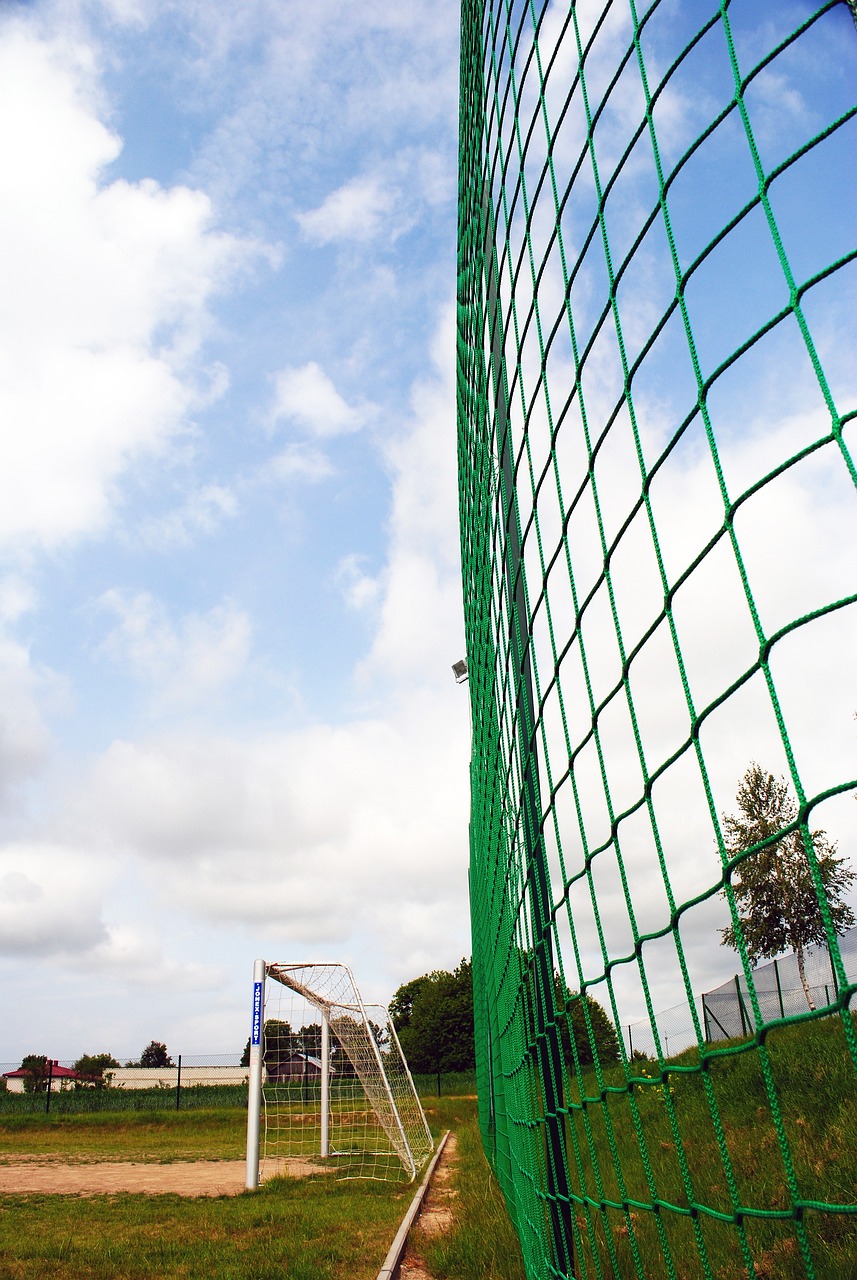 仅展现了埃 仅展现了埃