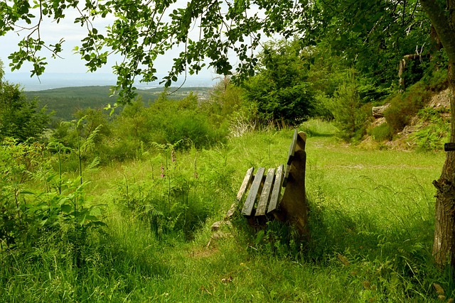 小組賽中總 小組賽中總