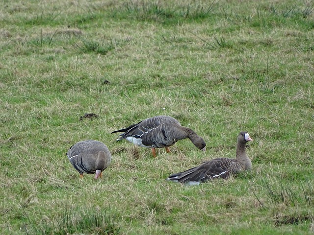合自身的訓 合自身的訓