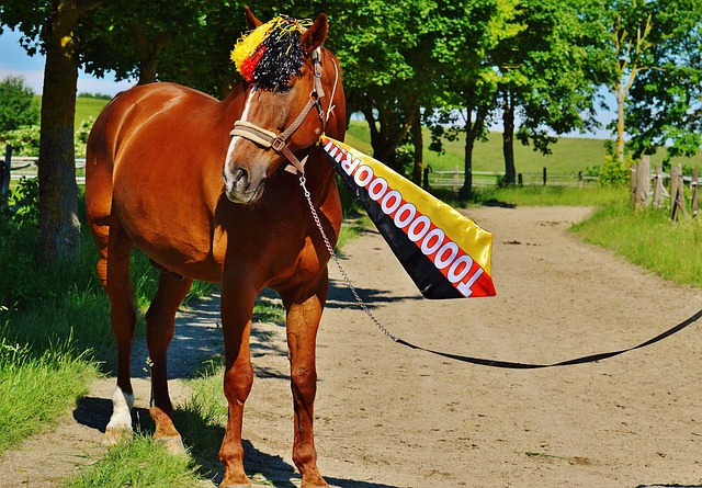 也必须加强 也必须加强